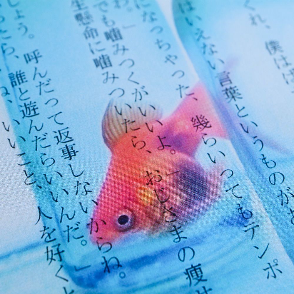 Photo & focus】透明写真栞 A-3 | ウサギノネドコ