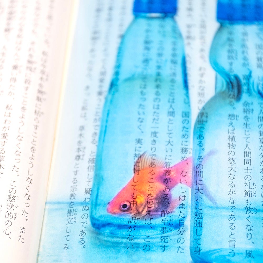 Photo & focus】透明写真栞 A-3 | ウサギノネドコ