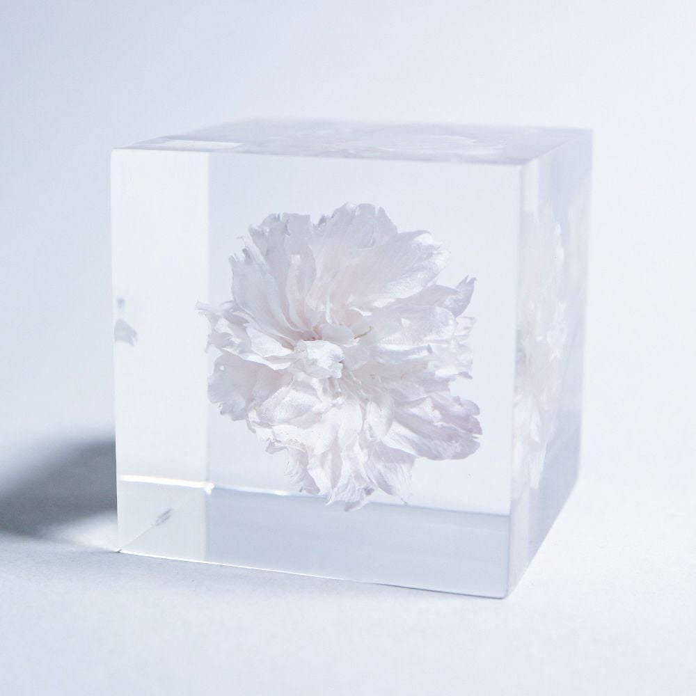 Sola cube | ウサギノネドコ