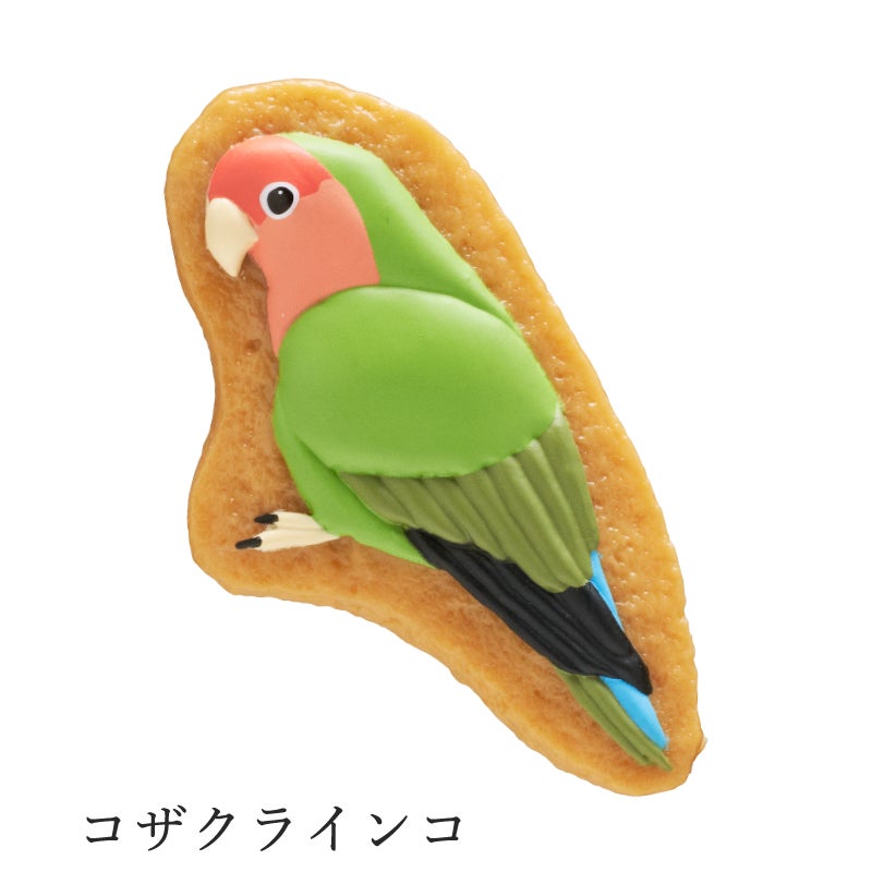 鳥のアイシングクッキー フィギュアマグネット 2 | ウサギノネドコ