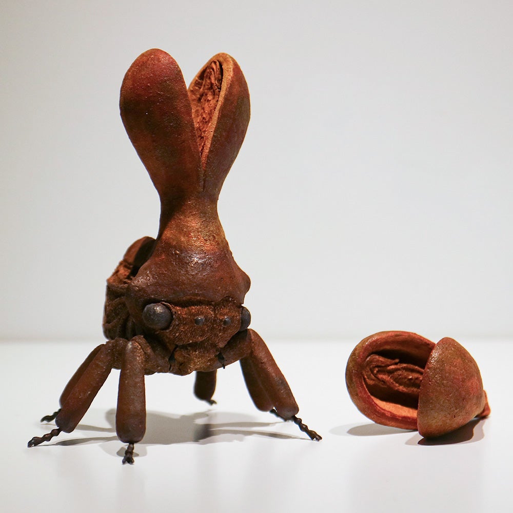 ギャラリー】奥村巴菜 個展「陶の虫たち」 | ウサギノネドコ