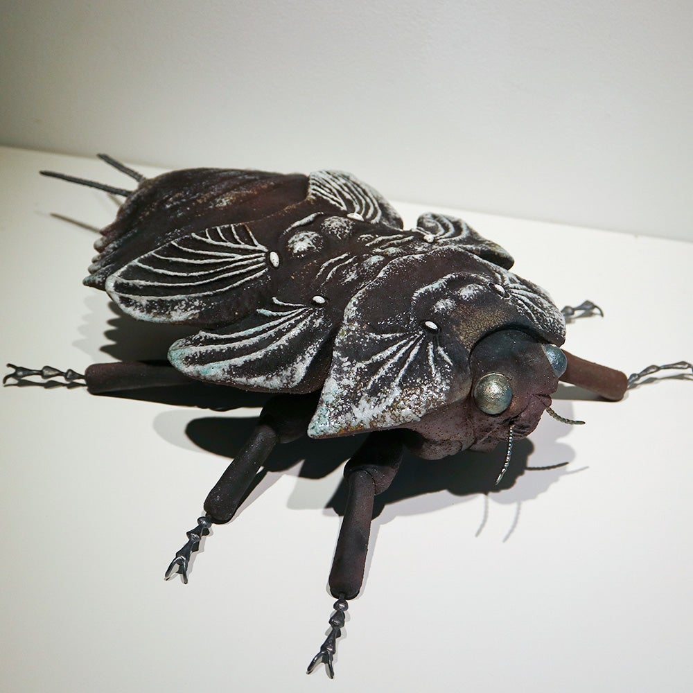 ギャラリー】奥村巴菜 個展「陶の虫たち」 | ウサギノネドコ