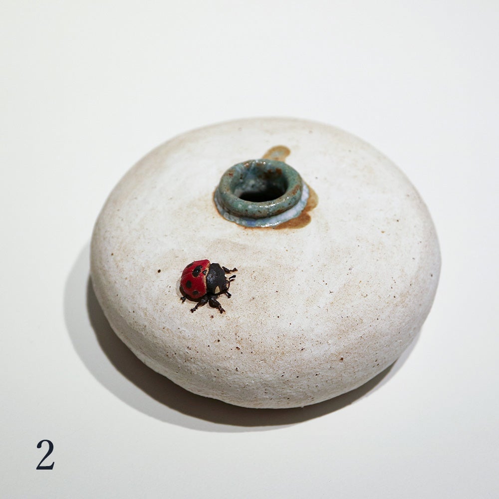 虹のこぼれ種　花器 奥村巴菜】テントウムシ花器 | ウサギノネドコ
