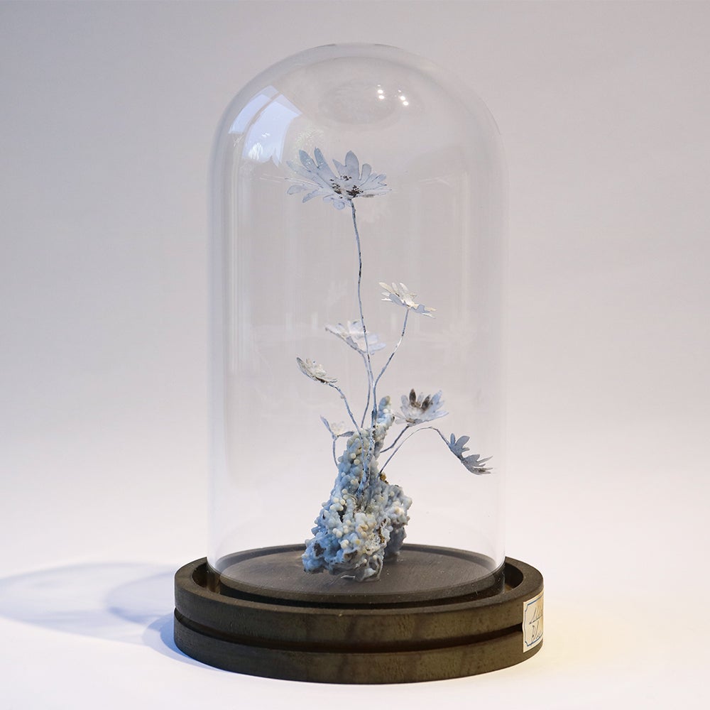 kopfkino】鉱石植物 ガラスドームS ブルーカルセドニー | ウサギノネドコ