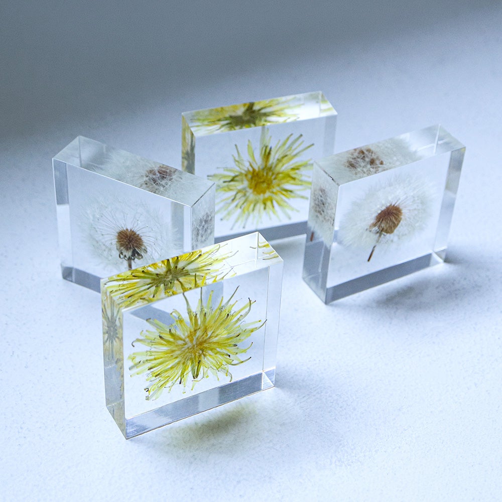 Sola tile タンポポ セット | ウサギノネドコ