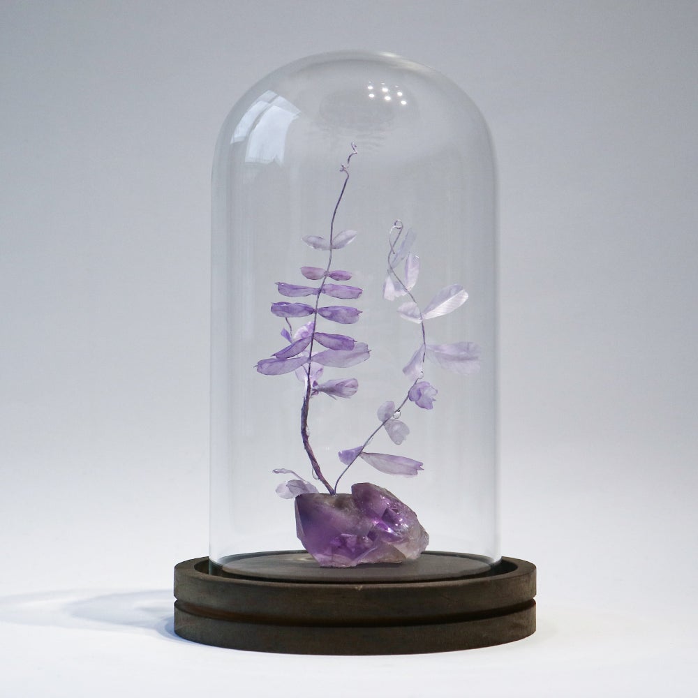 kopfkino】鉱石植物 ガラスドームS アメシスト | ウサギノネドコ