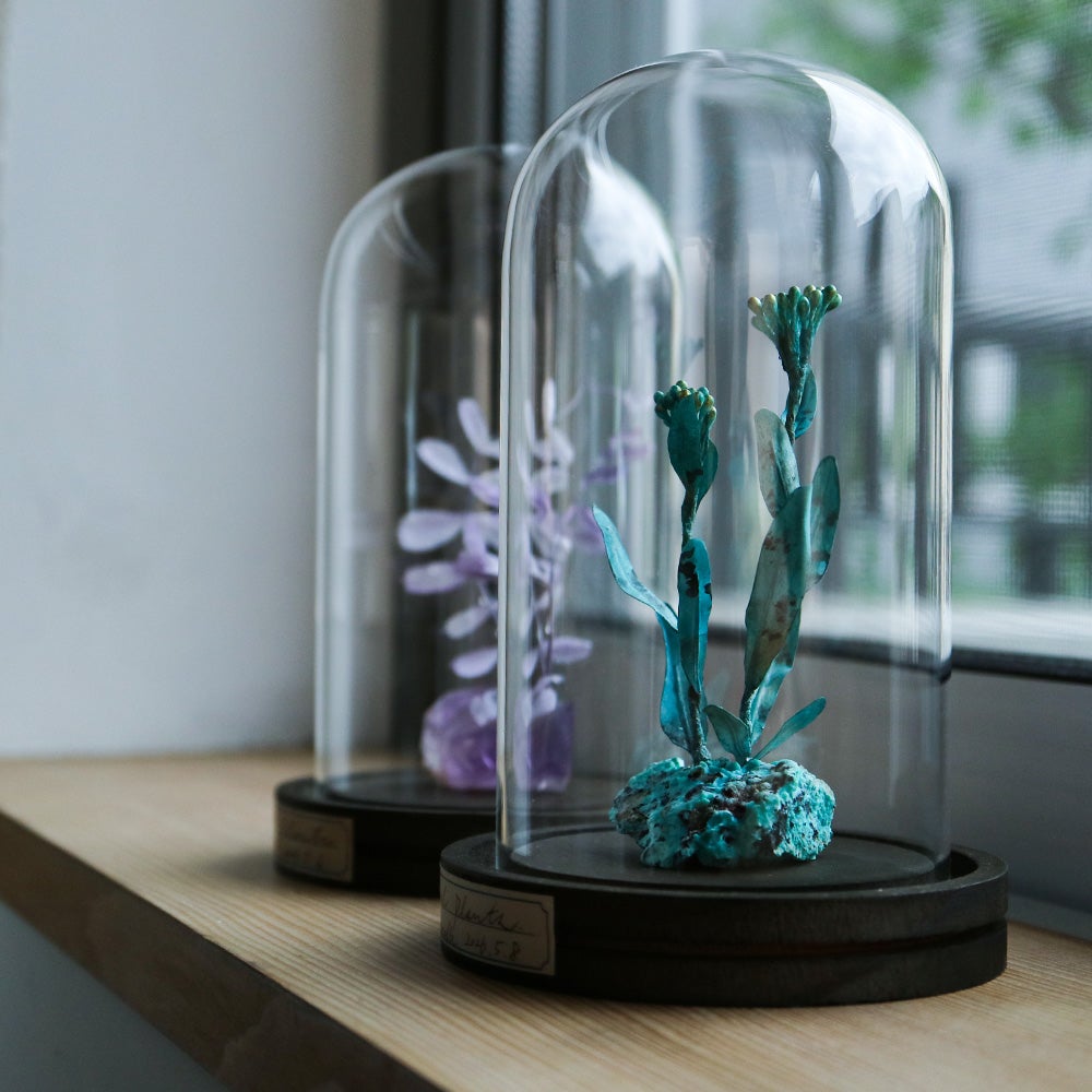 ガラスドーム オーム貝 kopfkino】鉱石植物 ガラスドームS アメシスト | ウサギノネドコ